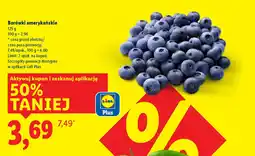 Lidl Borówki amerykańskie oferta