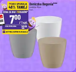 Polomarket Doniczka Begonia oferta