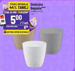 Polomarket Doniczka Begonia oferta