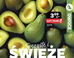 Netto Awokado oferta