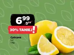 Netto Cytryna luz (1 kg) oferta