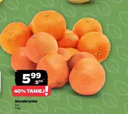 Netto Mandarynka oferta