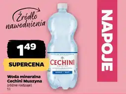 Netto Woda mineralna Cechini Muszyna (różne rodzaje) oferta