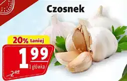 Prim Market Czosnek oferta