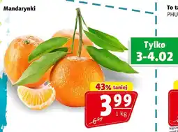 Prim Market Mandarynki oferta