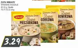 Słoneczko Zupa winiary nestle oferta