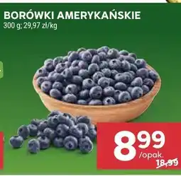 Stokrotka Borówki amerykańskie oferta