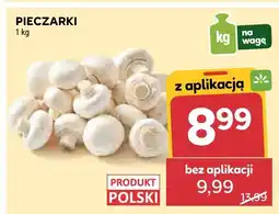 Stokrotka Pieczarki oferta