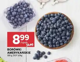 Stokrotka Borówki amerykańskie oferta