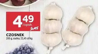 Stokrotka Czosnek oferta