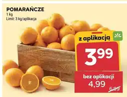 Stokrotka Pomarańcze oferta