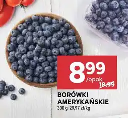 Stokrotka Borówki amerykańskie oferta