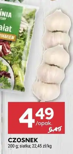 Stokrotka Czosnek oferta
