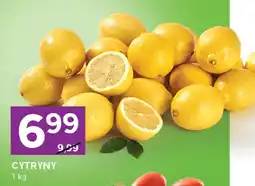 Stokrotka Cytryny oferta