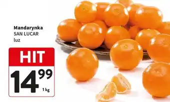 Mandarynka San Lucar