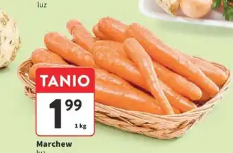 Intermarche Marchew oferta