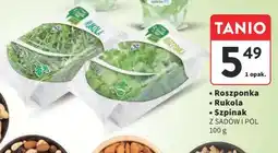 Intermarche Roszponka/Rukola/Szpinak oferta
