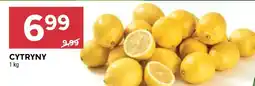 Stokrotka Market Cytryny oferta