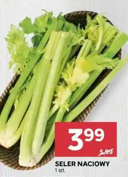 Stokrotka Market Seler naciowy oferta