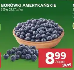 Stokrotka Market Borówki amerykańskie oferta