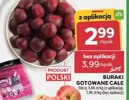 Stokrotka Market Buraki gotowane całe oferta