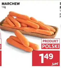 Stokrotka Market Marchew oferta