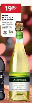Stokrotka Market Wino Musujące Lambrusco oferta
