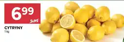 Stokrotka Market Cytryny oferta