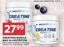 Stokrotka Market KREATYNA MUSCLE MAX ALLNUTRITION oferta