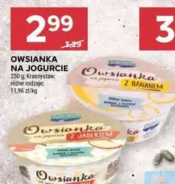 Stokrotka Market OWSIANKA NA JOGURCIE oferta