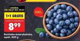 Biedronka Borówka amerykańska opak 300 g oferta