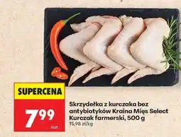 Biedronka Skrzydełka z kurczaka bez antybiotyków Kraina Mięs Select Kurczak farmerski, 500 g oferta