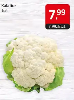 Market Point Kurczak świeży cały oferta