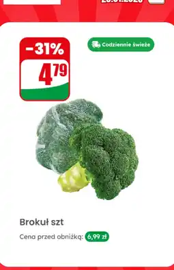 Dino Brokuł 1 szt oferta