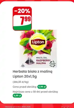 Dino Herbata biała z maliną oferta