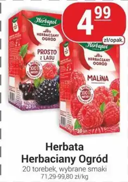 Delikatesy Sezam Herbata Herbaciany Ogród oferta