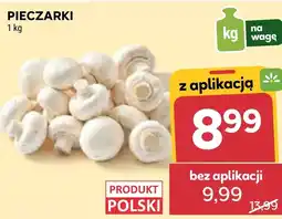 Stokrotka Pieczarki Polski oferta