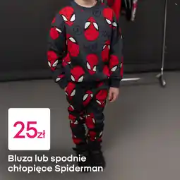 Pepco Bluza lub spodnie chłopięce Spiderman oferta
