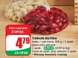 Dino Cebula dymka oferta