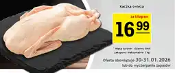 Gram Market Kaczka świeża oferta