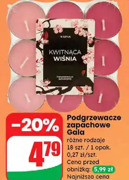 Dino Gala Podgrzewacze zapachowe oferta