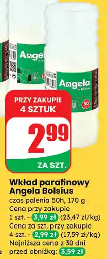Dino Wkład parafinowy Angela Bolsius oferta