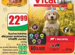 Dino Sucha karma dla psów Vitalfit Junior oferta