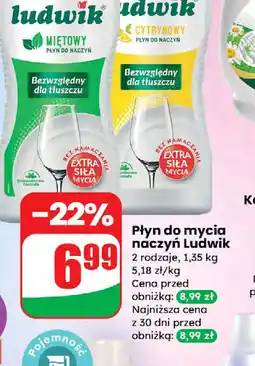 Dino Płyn do mycia naczyń Ludwik oferta