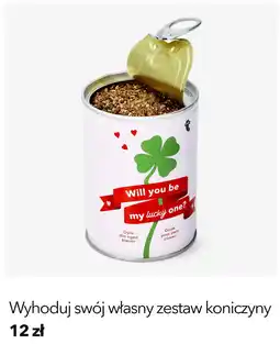 Flying Tiger Zestaw do hodowli koniczyny (Grow your own clover) oferta