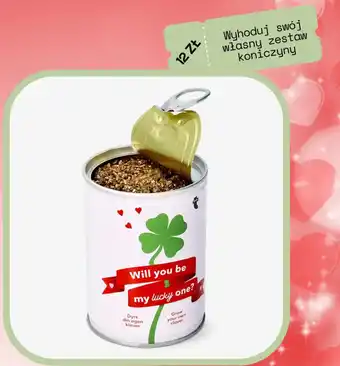 Wyhoduj swój własny zestaw koniczyny