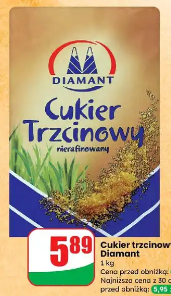 Dino Cukier trzcinowy oferta