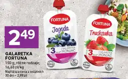 Stokrotka Galaretka oferta