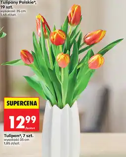 Biedronka Tulipany Polskie, 14 szt oferta