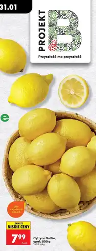 Biedronka Cytryna Go Bio oferta